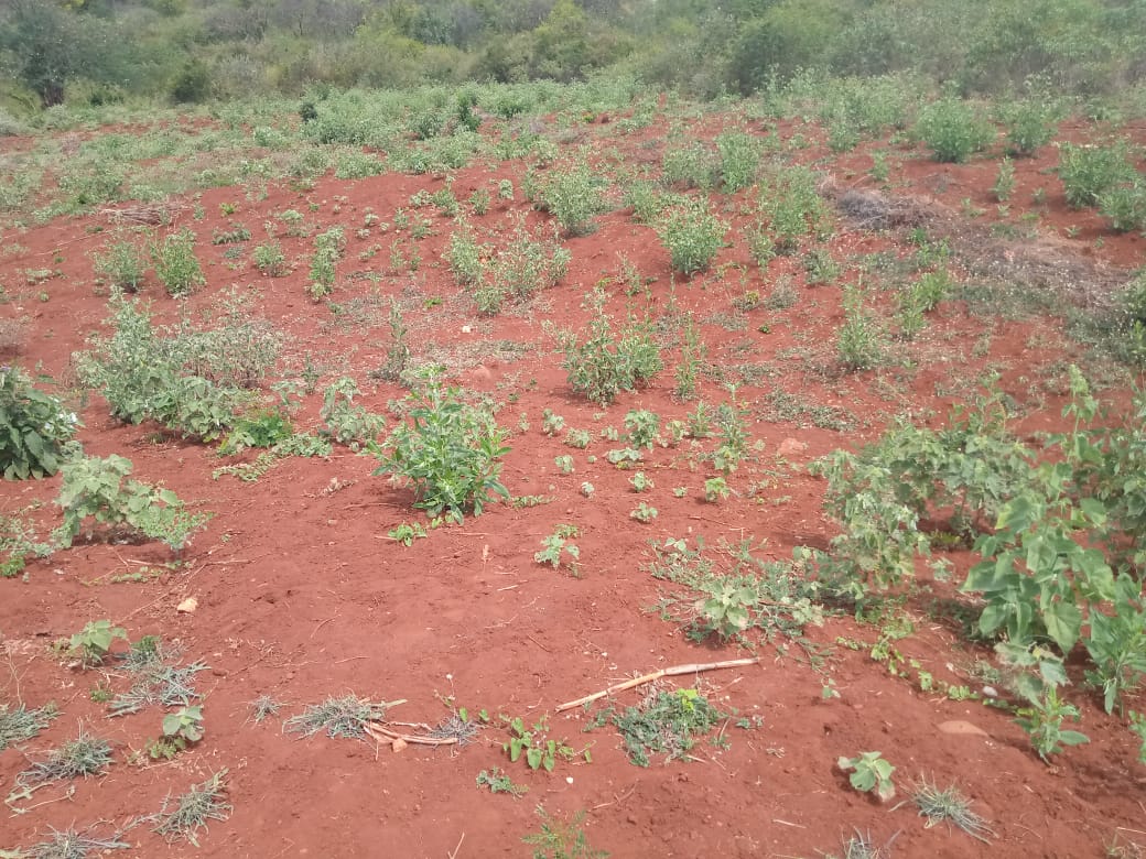 28.5 Acres land in Embu county Muminji area for sale