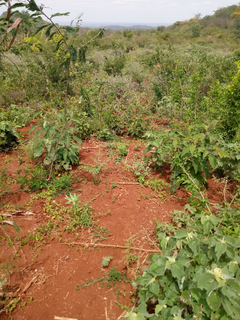 28.5 Acres land in Embu county Muminji area for sale