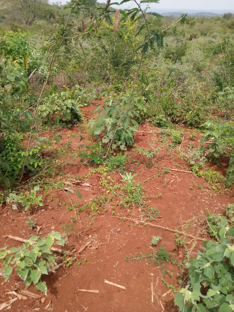 28.5 Acres land in Embu county Muminji area for sale
