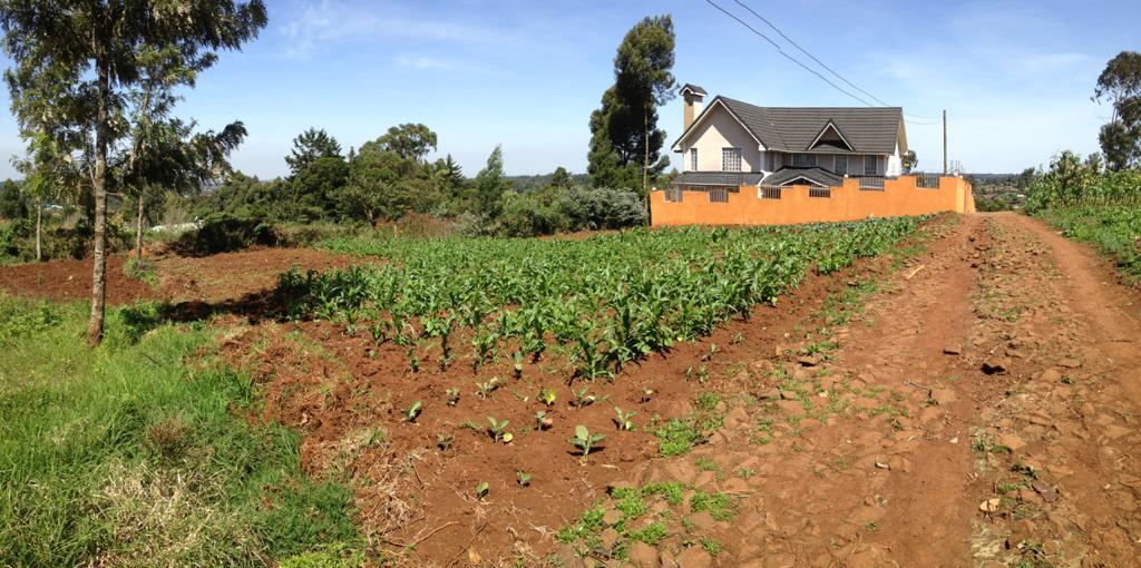 0.125 Acres prime plot for sale in Limuru Bibirioni