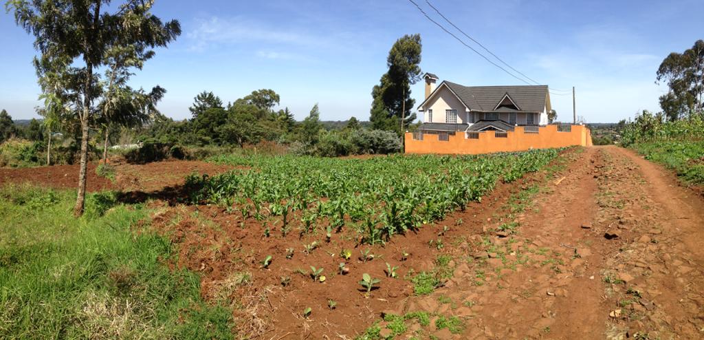 0.125 Acres prime plot for sale in Limuru Bibirioni