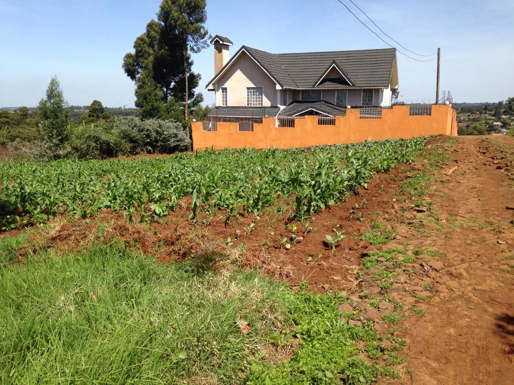 0.125 Acres prime plot for sale in Limuru Bibirioni