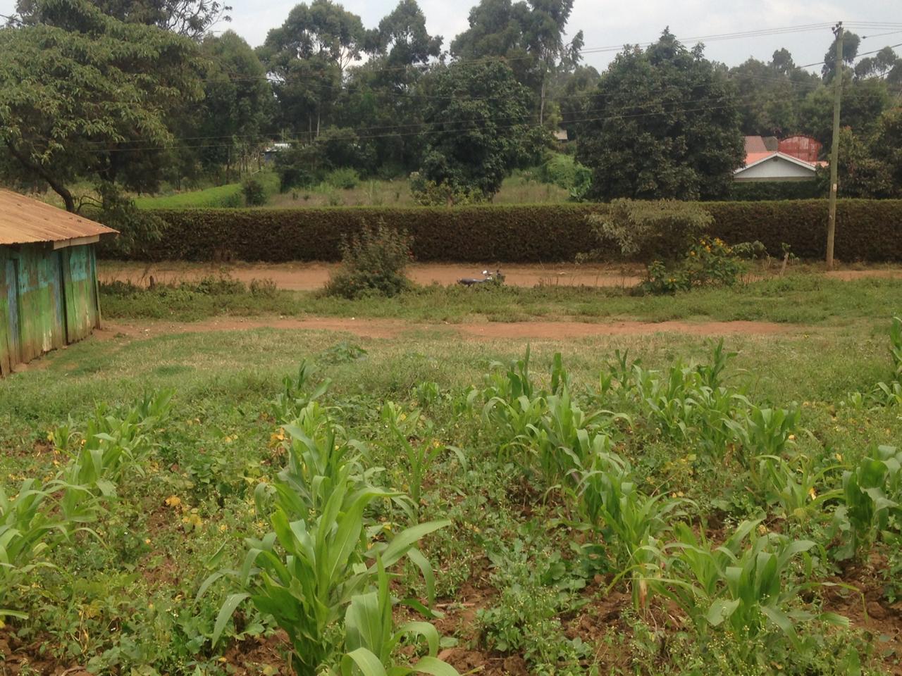 1/4 Acre on sale in Kikuyu Lussigetti Ndaca