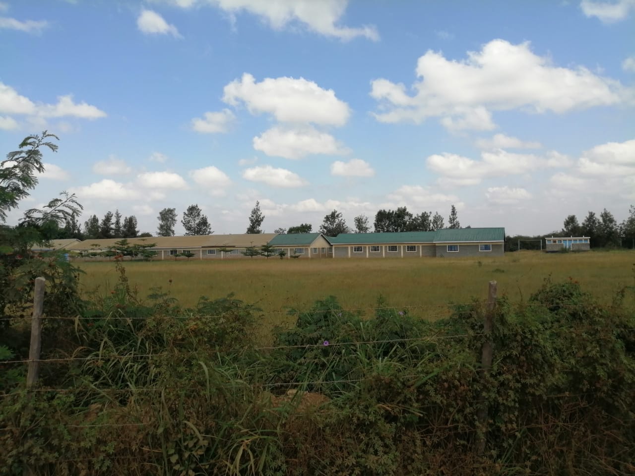 0.125 Acre plot for sale in Juja farm Kiambu