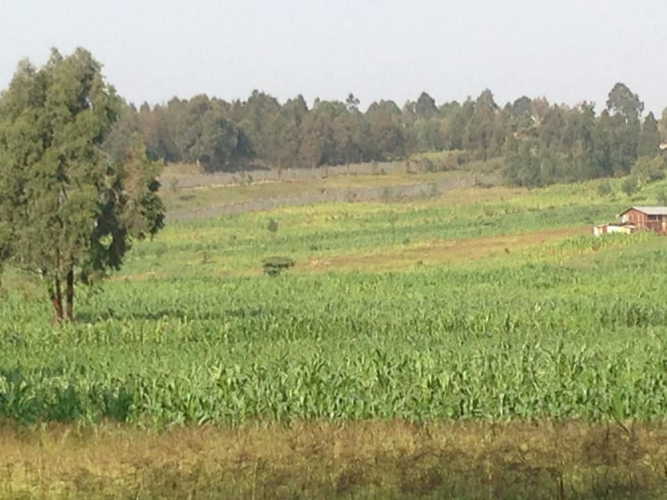 8 Acres for Ksh.100M in Kikuyu Kamangu