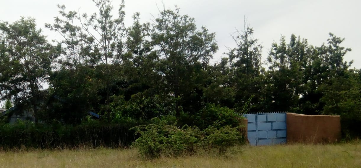 0.125 Acre plot for sale in Juja farm Kiambu