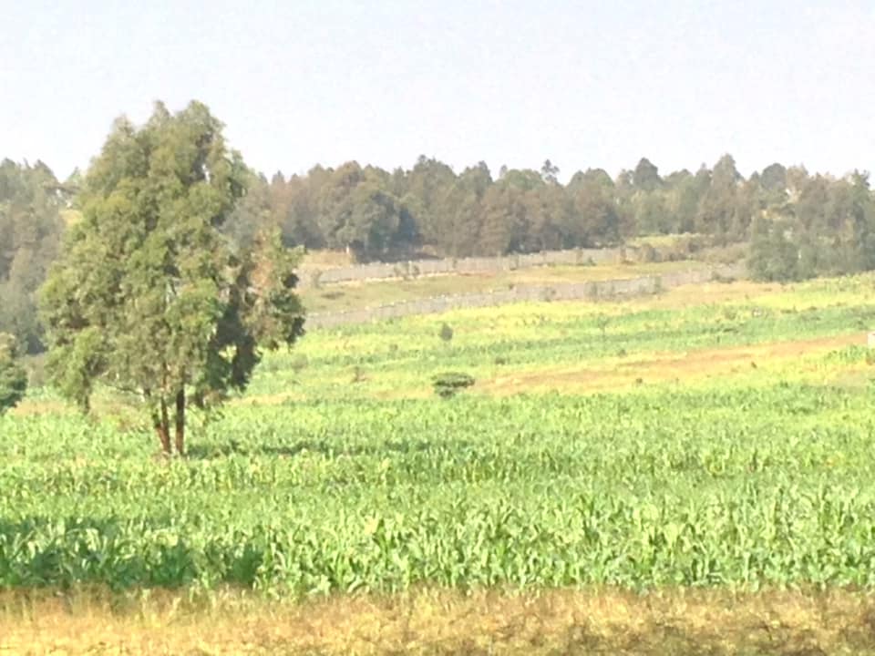 8 Acres for Ksh.100M in Kikuyu Kamangu