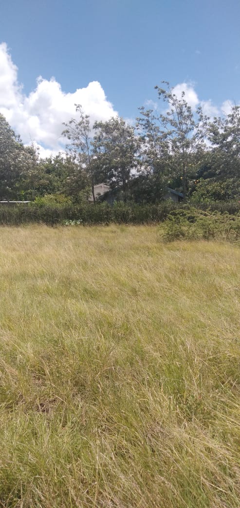 0.125 Acre plot for sale in Juja farm Kiambu