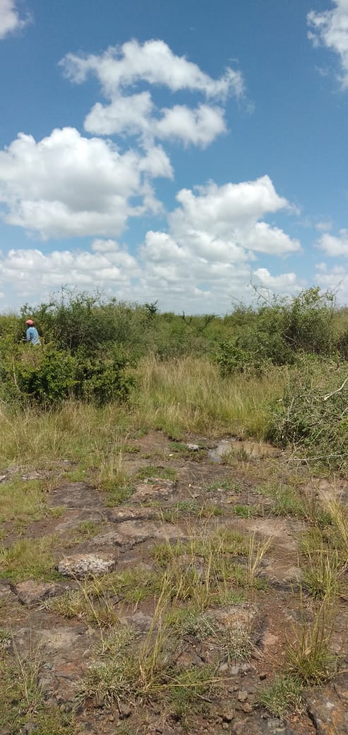 0.125 Acre plot for sale in Juja farm Kiambu