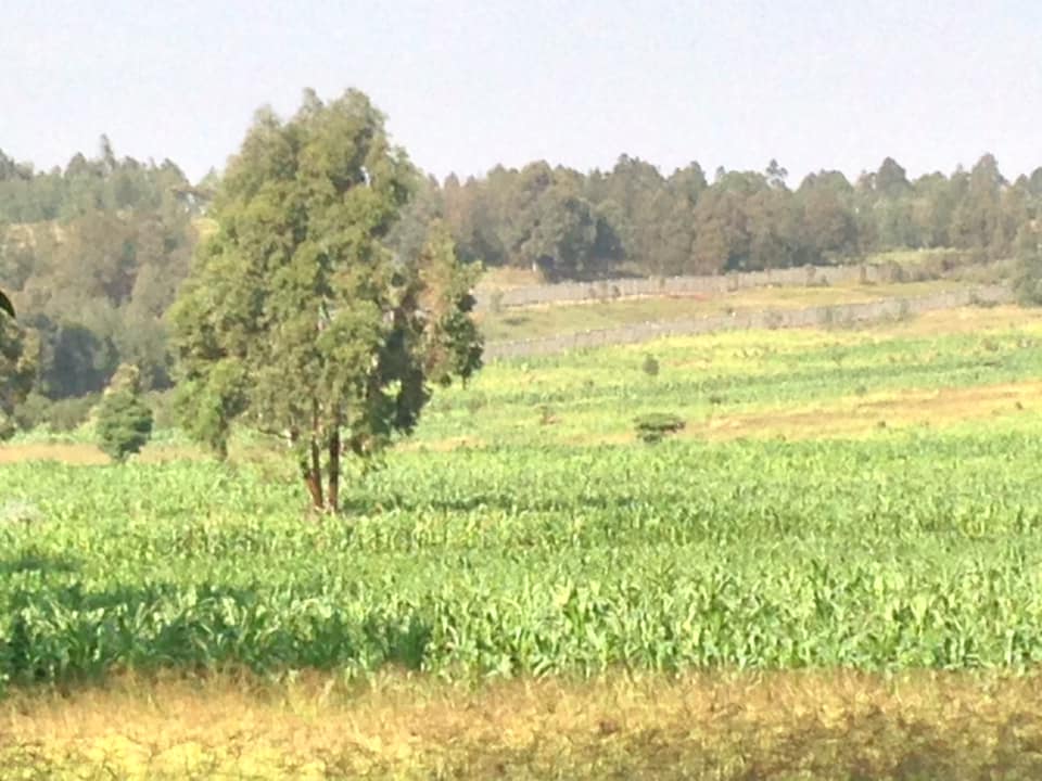8 Acres for Ksh.100M in Kikuyu Kamangu