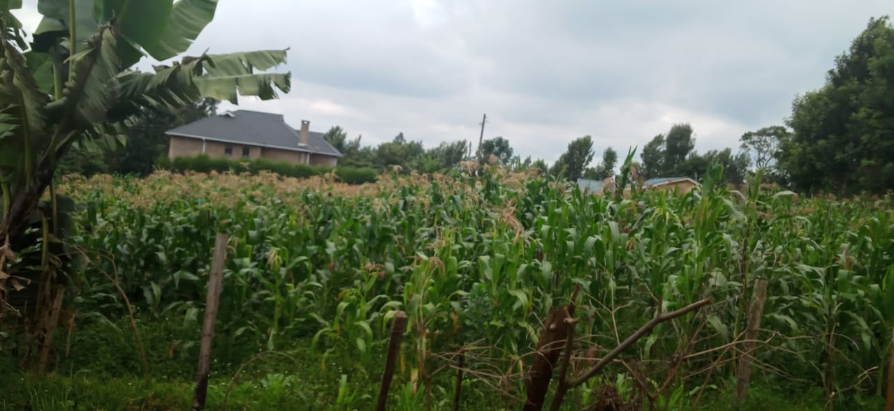 0.25 Acre in Thogoto Kikuyu for Sale
