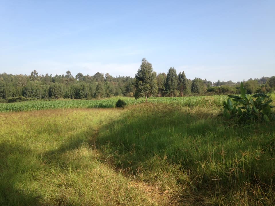 8 Acres for Ksh.100M in Kikuyu Kamangu