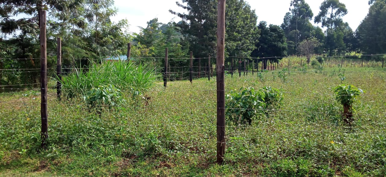 0.125 Acre prime plots for sale in Kikuyu Kiambu
