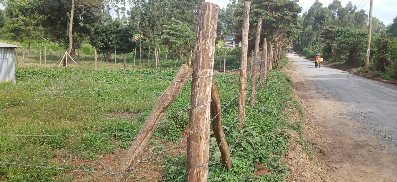 0.125 Acre prime plots for sale in Kikuyu Kiambu