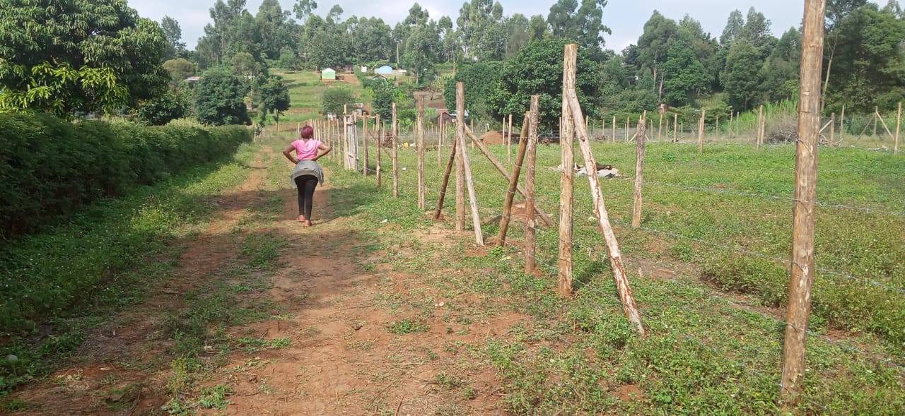 0.125 Acre prime plots for sale in Kikuyu Kiambu