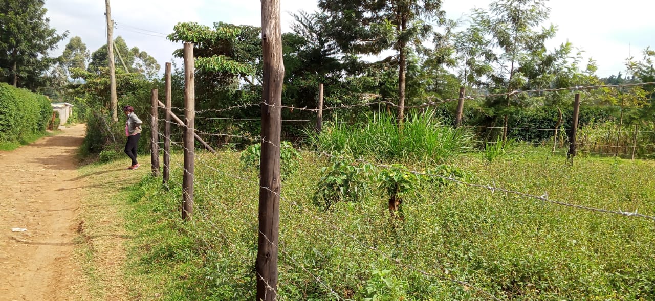 0.125 Acre prime plots for sale in Kikuyu Kiambu