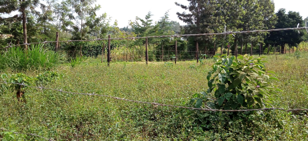 0.125 Acre prime plots for sale in Kikuyu Kiambu