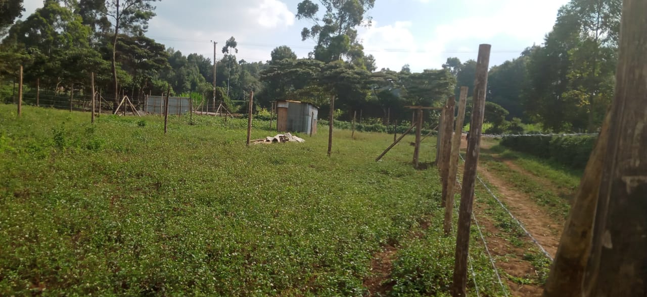 0.125 Acre prime plots for sale in Kikuyu Kiambu