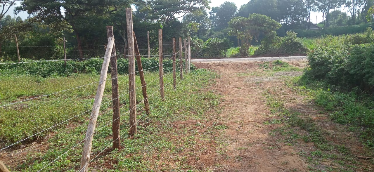0.125 Acre prime plots for sale in Kikuyu Kiambu