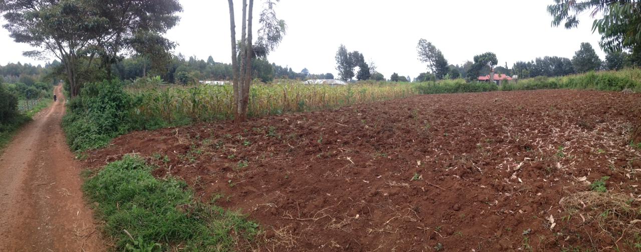 135 ft by 112 ft Plot for sale in Thigio Limuru. Distress sale