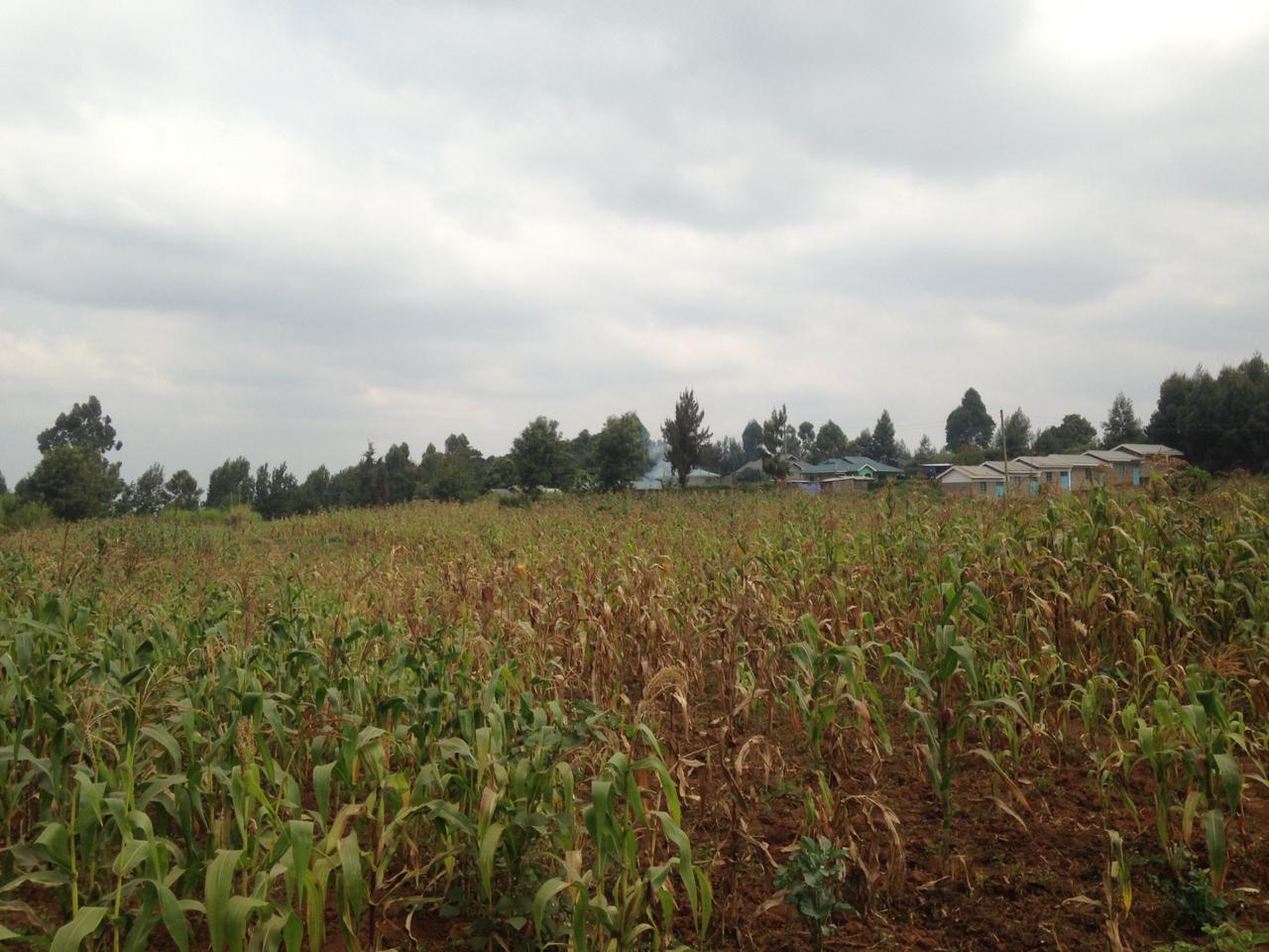 1 Acre Plot for sale in Kikuyu behind Kamangu Town. Distress sale