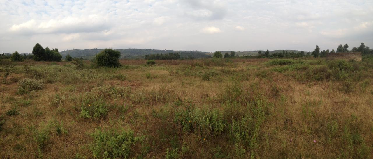 Distress 5 acres Plot for sale Kikuyu Ndigûini Kamangu