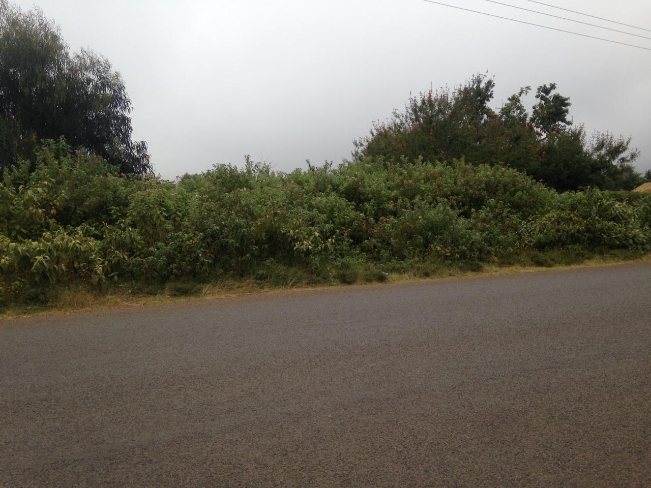 1 Acre prime Plot for sale in Kikuyu touching tarmac in Ha-Koinange