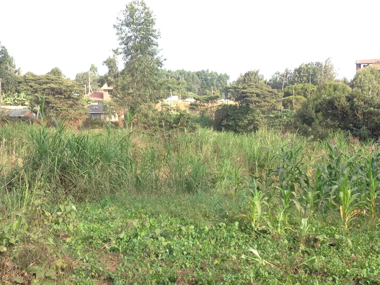 1 Acre Prime plot for sale in Kikuyu town