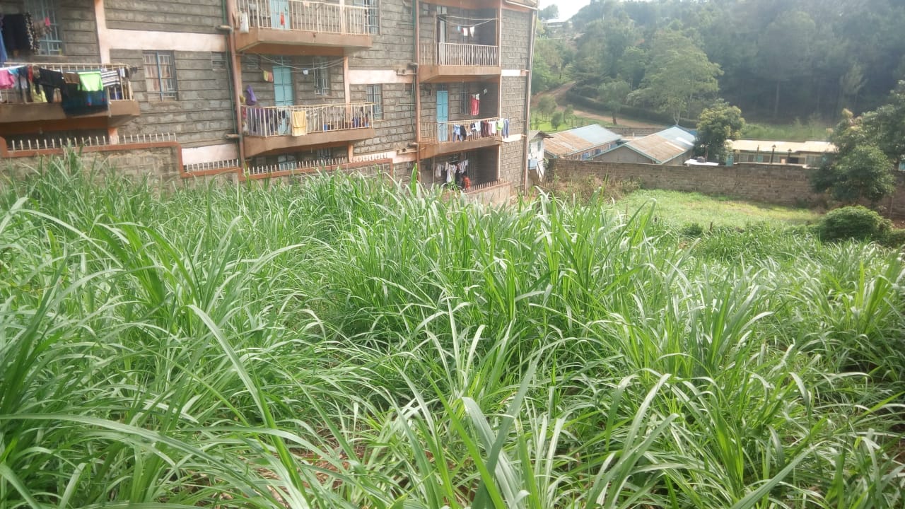 1/8 Acre Commercial plot for sale in Nyeri town