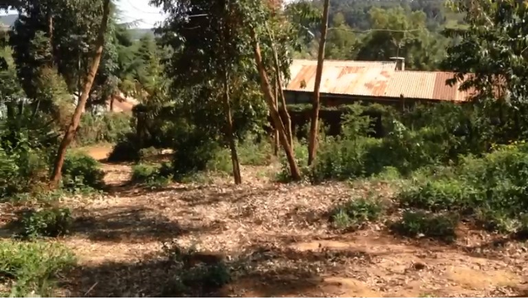 1/4 Acre plot on sale in Thigio Limuru